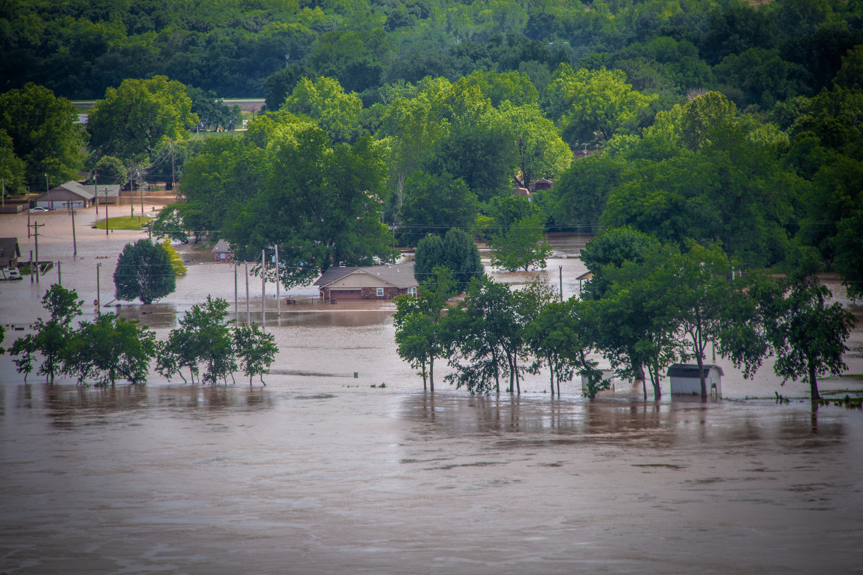 Effects of Flooding on Trees & Shrubs Yard and Garden